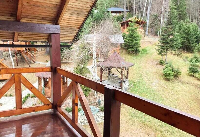 سوییت سوپریور, Dachna Sadyba Pb