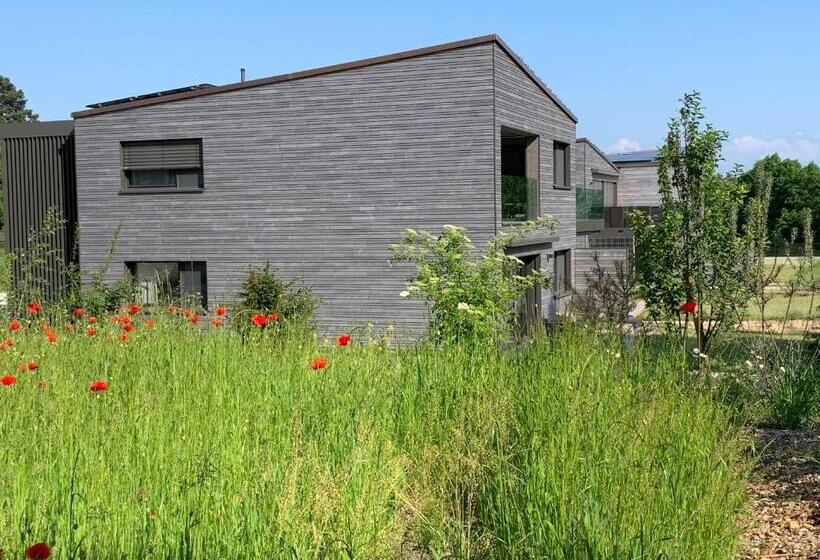 דירת חדר בקומת קרקע, Lodge Glardons