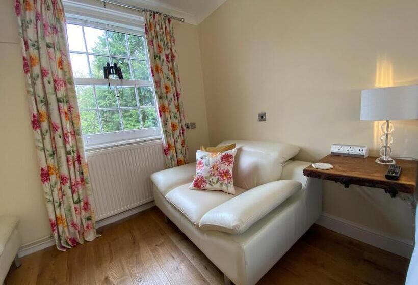 Номер Deluxe, Rooms At The Usk