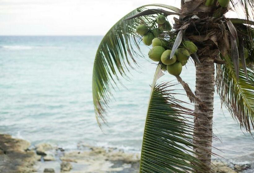 小型套房带海景, Paamul