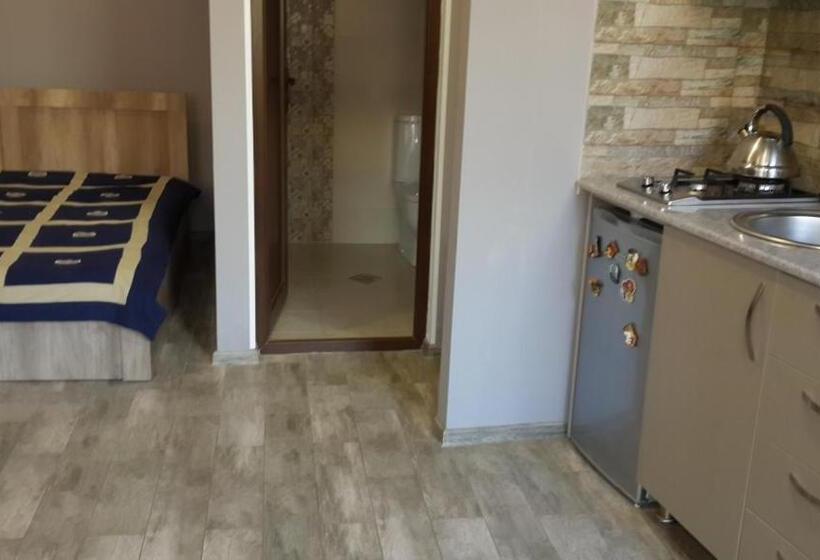 اتاق خانوادگی, Nimako's Apartment