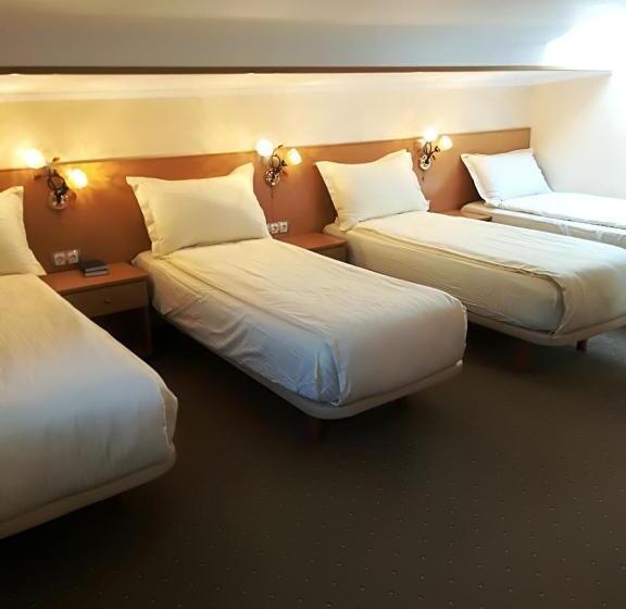 חדר אקונומי לארבעה, Pensiunea Perla Martiniei Nsd