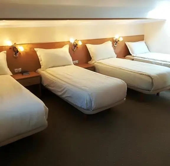 エコノミー４人部屋, Pensiunea Perla Martiniei Nsd