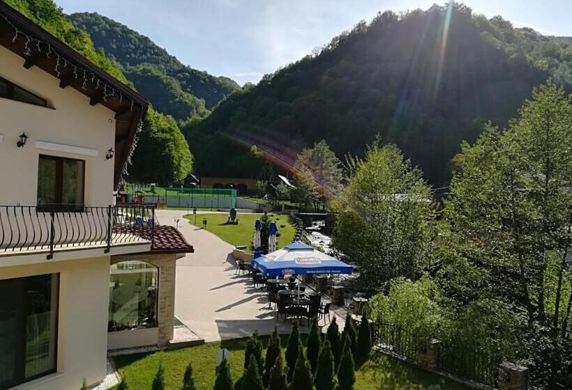 חדר סטנדרט נוף לגינה, Pensiunea Perla Martiniei Nsd