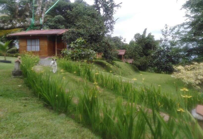 اتاق استاندارد, Estancia La Colina