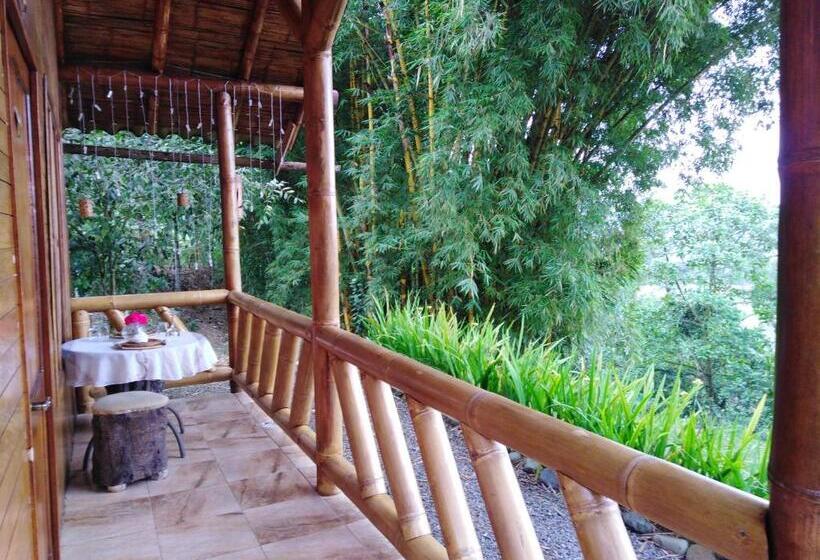 اتاق استاندارد یک نفره, Estancia La Colina