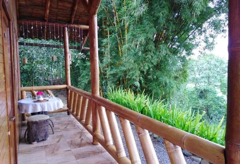 スタンダードシングルルーム, Estancia La Colina