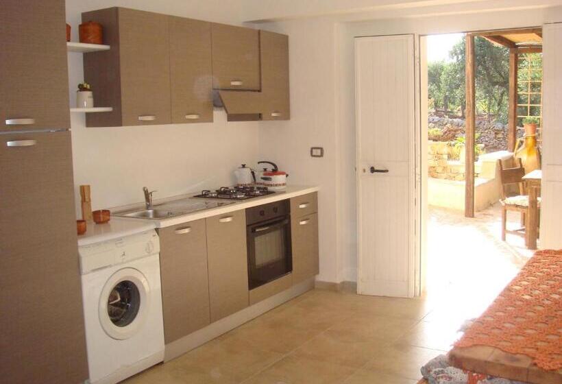 침실 1개 테라스 아파트, Paradiso Villa