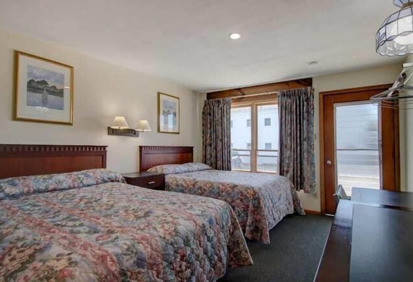 스탠다드 룸, Dolphyn Motel