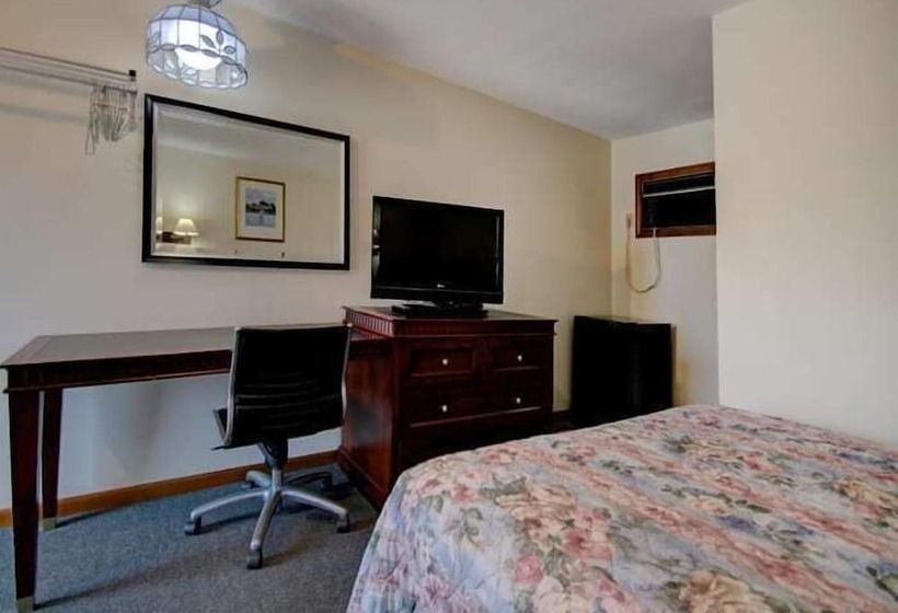 스탠다드 룸, Dolphyn Motel