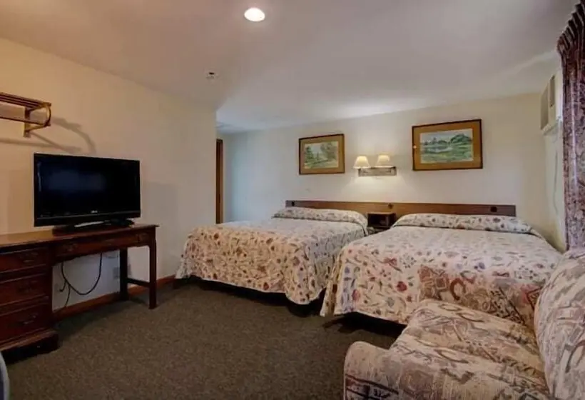 デラックスルーム, Dolphyn Motel