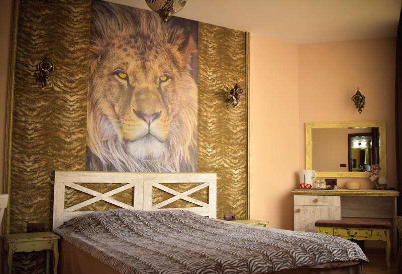 إستديو قياسى مزود بشرفة, Africa