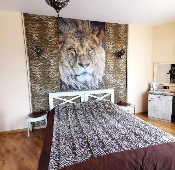 إستديو قياسى مزود بشرفة, Africa