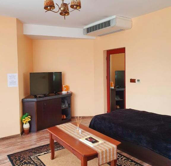 شقة غرفة واحدة, Africa