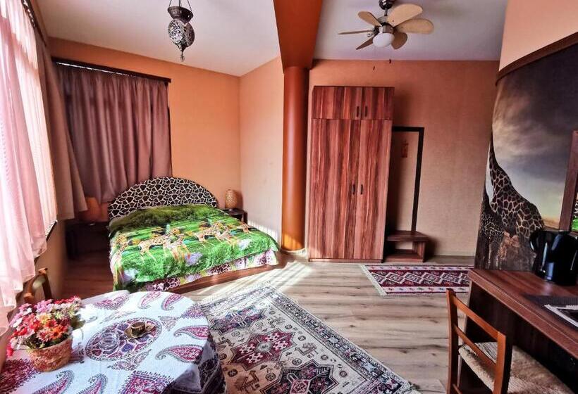 غرفة قياسية, Africa