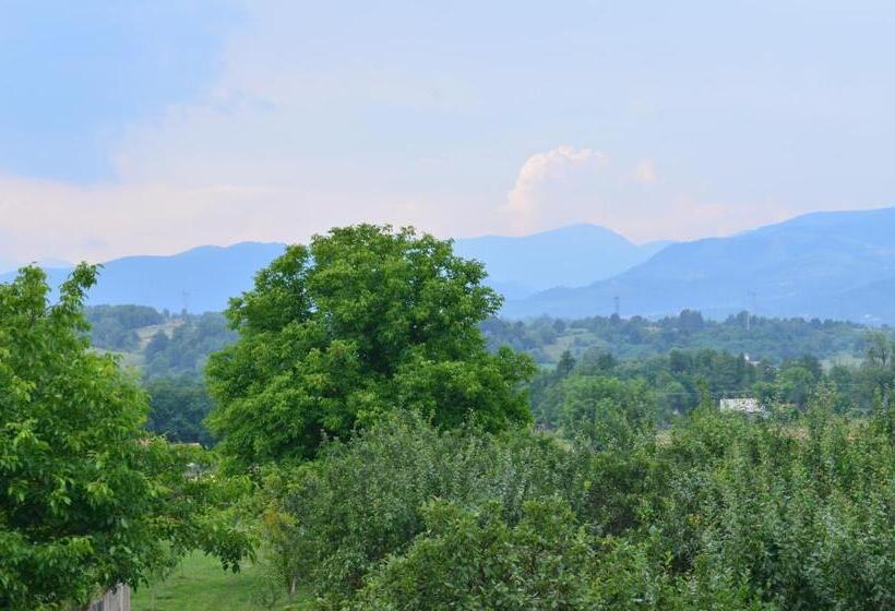 デラックスルーム, Pensiunea Koruna