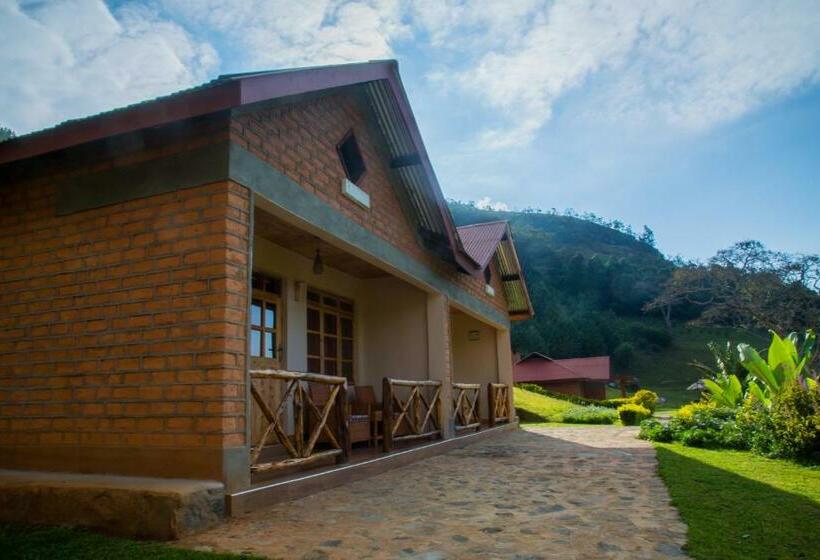 اتاق اکونومی, Swiss Farm Cottage