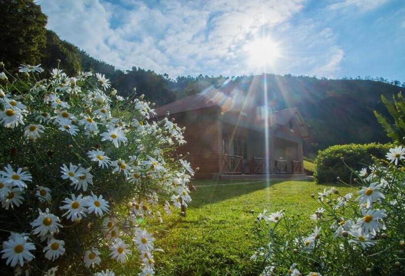 اتاق اکونومی, Swiss Farm Cottage
