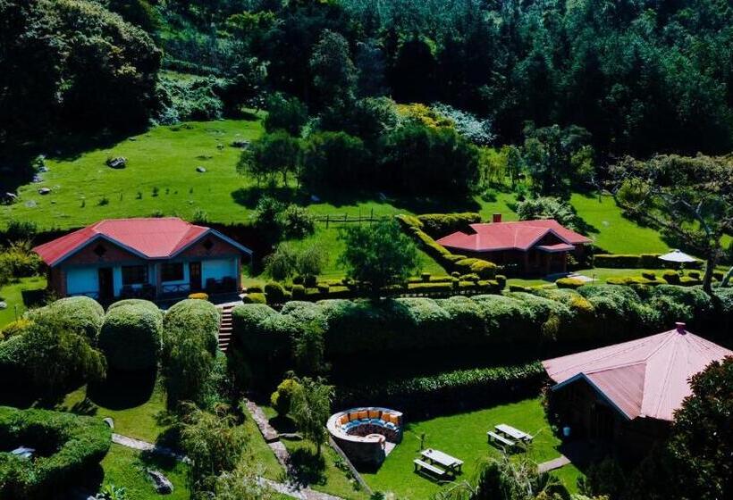 اتاق اکونومی, Swiss Farm Cottage