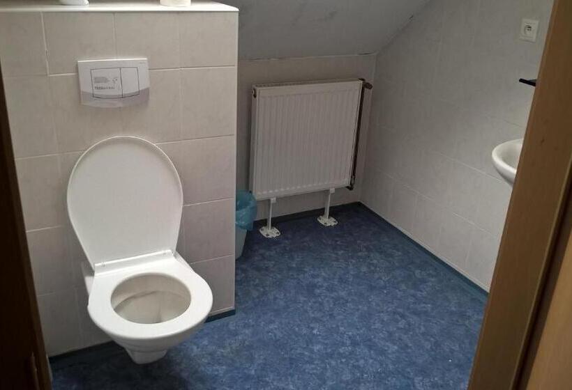 스탠다드 룸, Penzion U Hladů