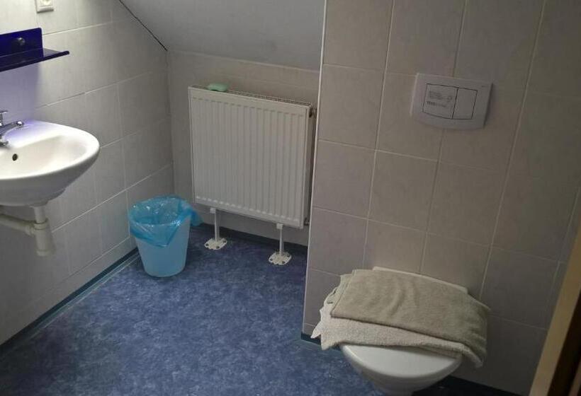 스탠다드 룸, Penzion U Hladů