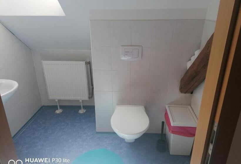 스탠다드 룸, Penzion U Hladů