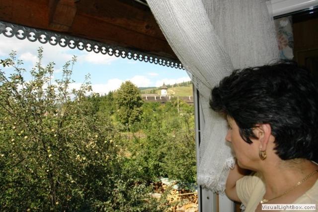 스탠다드 룸, Pension Crizantema