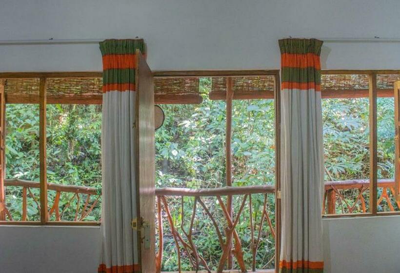 חדר סטנדרט נוף לבריכה, Jungle River