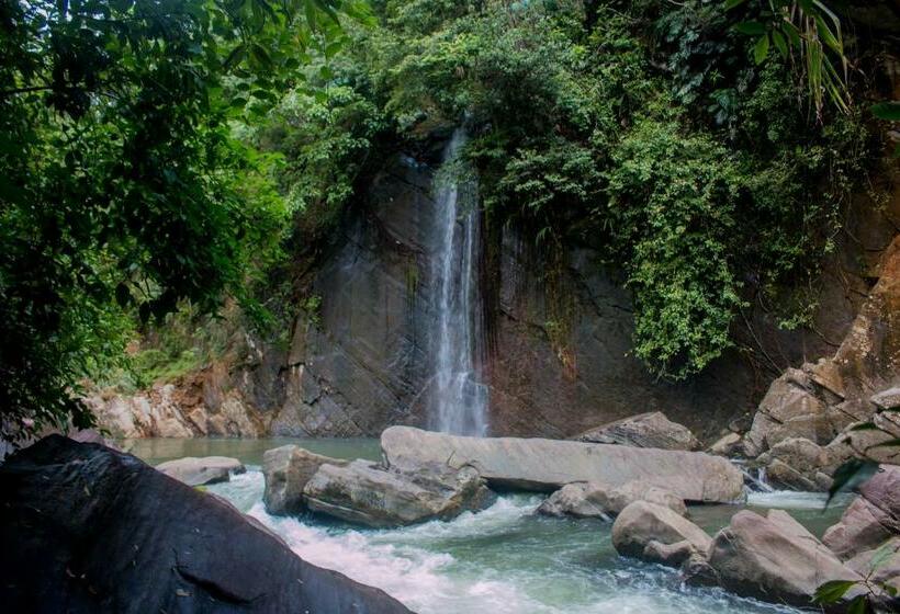 חדר סטנדרט נוף לבריכה, Jungle River