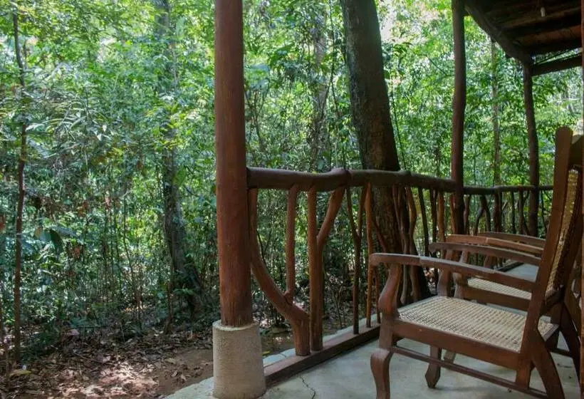 Familienzimmer, Jungle River