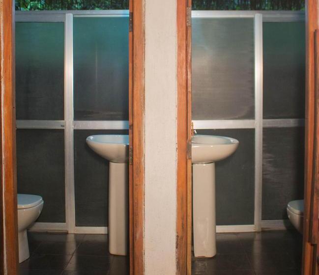 חדר משפחתי, Jungle River