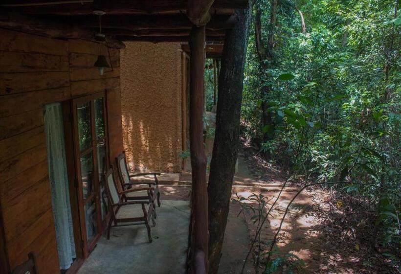 Семейный Номер, Jungle River