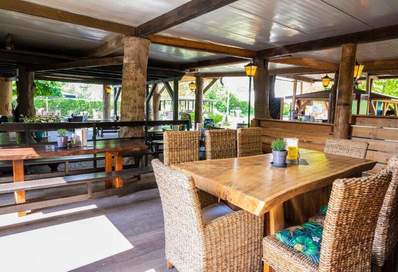 Standard Neljän Hengen Huone, Aprico