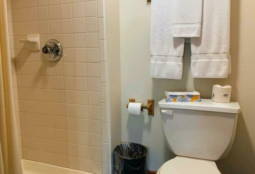 带大床的标准间, Lakeside Inn