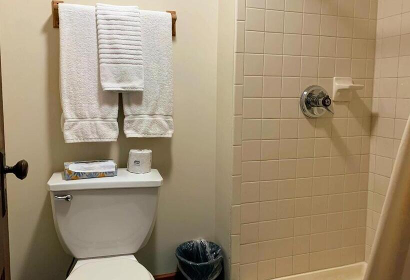 带大床的标准间, Lakeside Inn