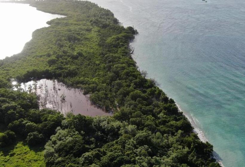 Estudio Estándar, Carolina Point Resort