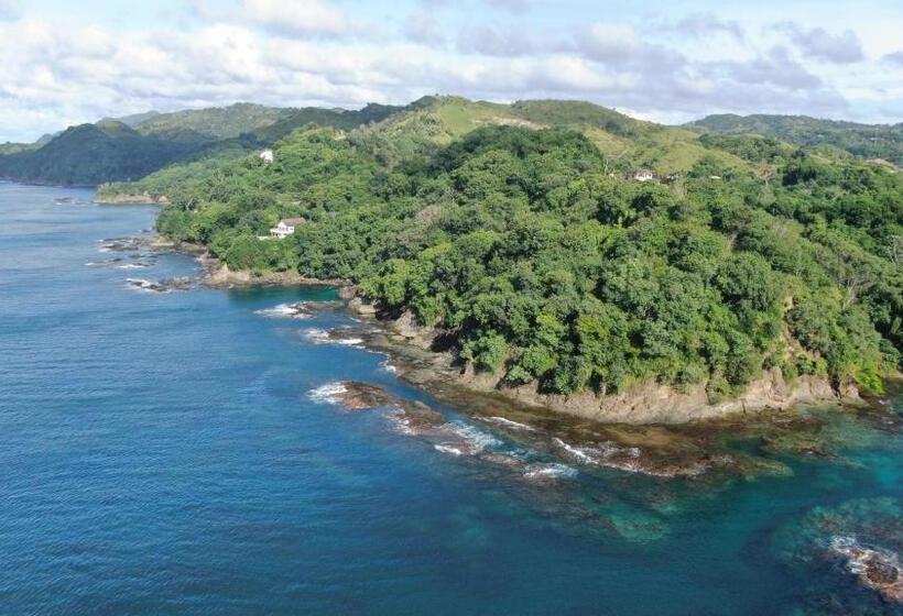 Estudio Estándar, Carolina Point Resort