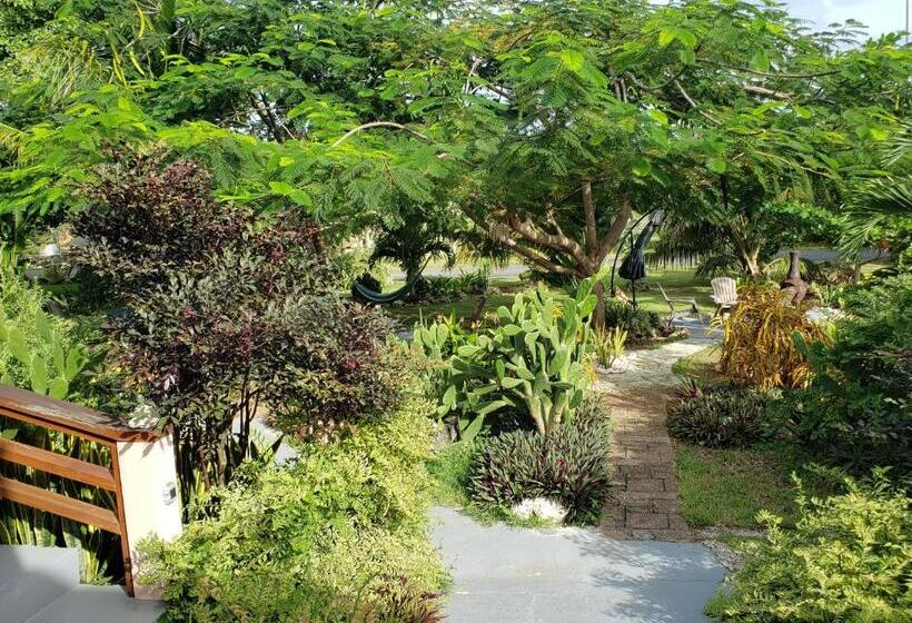 Apartamento 1 Dormitorio, Carolina Point Resort