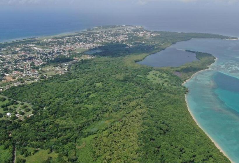 Estudio Estándar, Carolina Point Resort