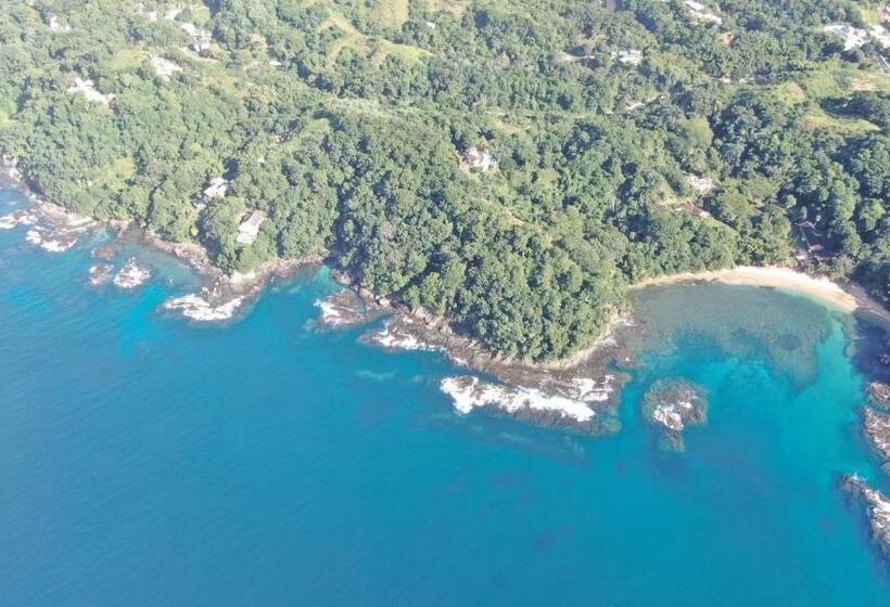 Estudio Estándar, Carolina Point Resort