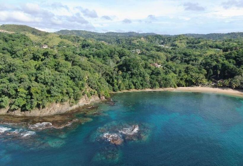 Estudio Estándar, Carolina Point Resort