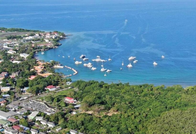 Apartamento 1 Dormitorio, Carolina Point Resort