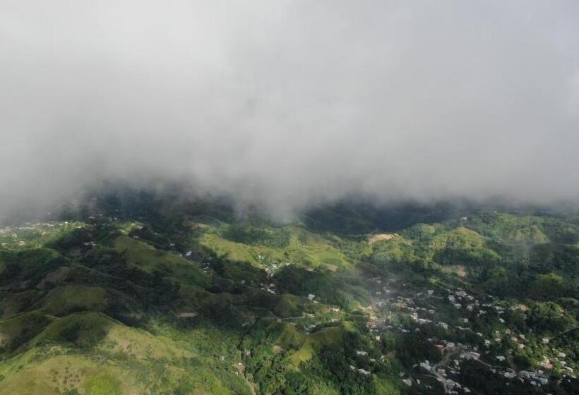 Apartamento 1 Dormitorio, Carolina Point Resort