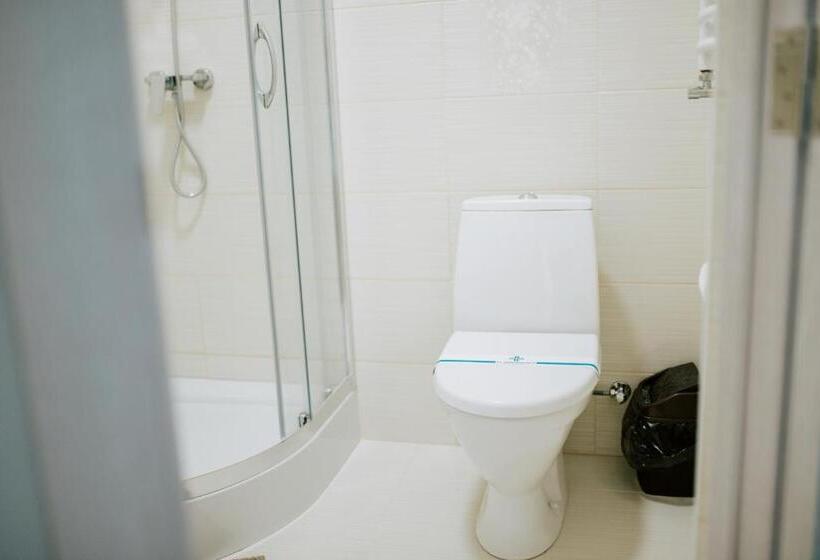 Номер Стандарт Индивидуальный, готель спа еліт