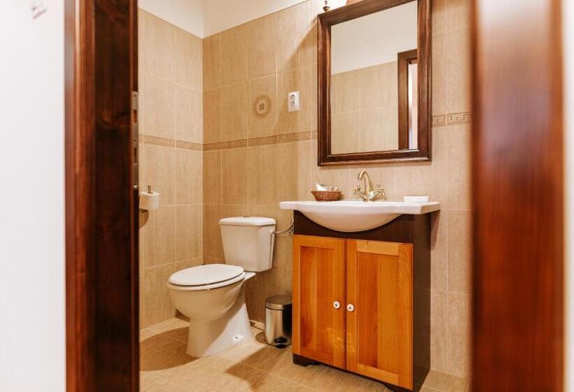 标准间, Conacul Nagy