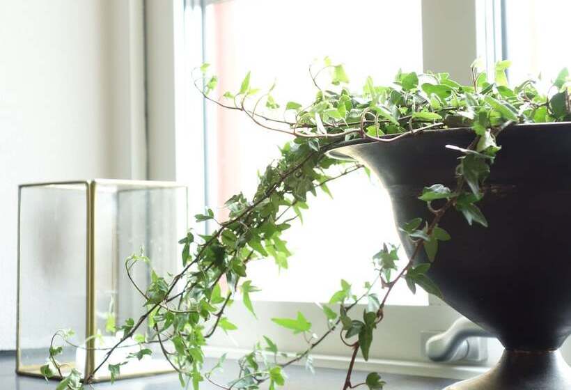 스탠다드 룸, Flädie Mat & Vingård