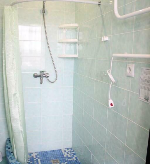 חדר סטנדרט יחיד, Zhyttedar