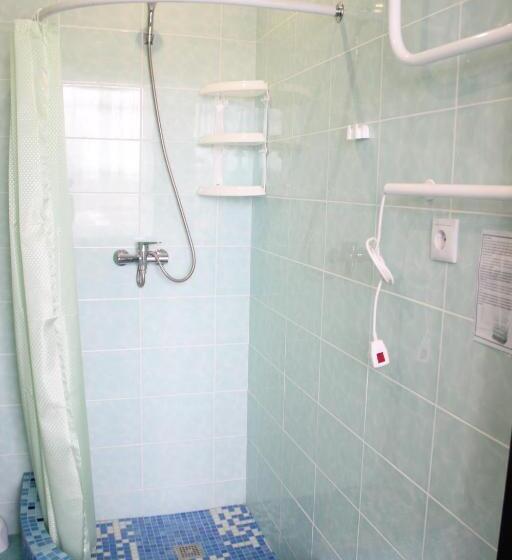 חדר סטנדרט לארבעה, Zhyttedar