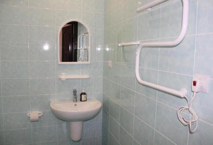 חדר סטנדרט לארבעה, Zhyttedar