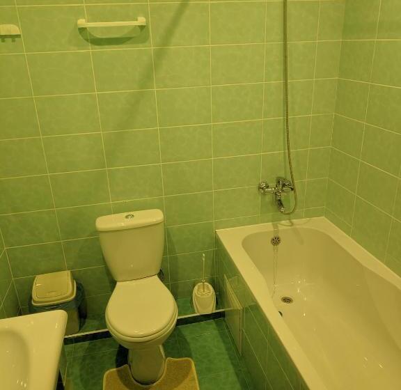 חדר סופריור יחיד, Zhyttedar